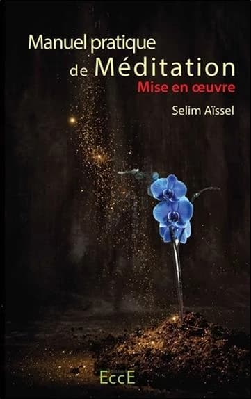 Manuel pratique de méditation ; mise en oeuvre