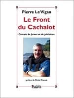 Le front du cachalot