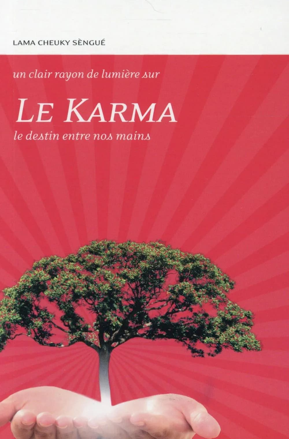 Le Karma : Le destin entre nos mains