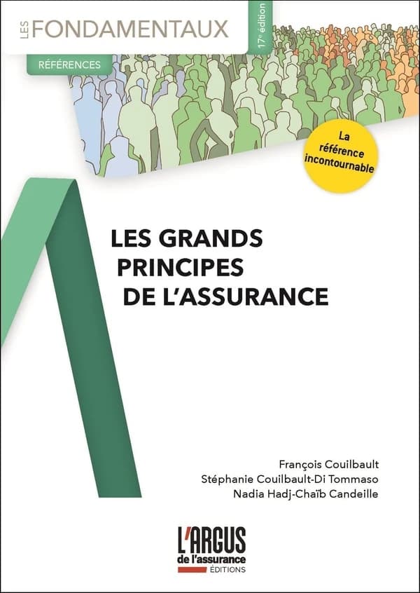 Les grands principes de l'assurance (17e éd.) François Couilbault, Stéphanie Couilbault-Di Tommaso, Nadia Hadj-Chaïb Candeille