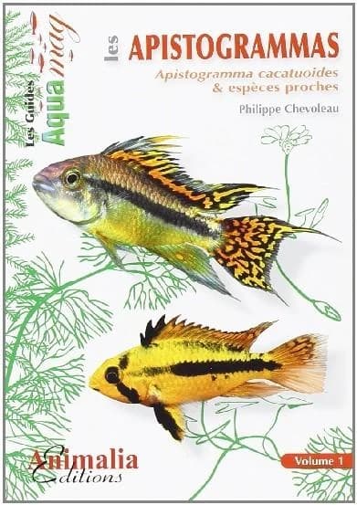 Les apistogrammas : apistogramma cacatuoides & espèces proches
