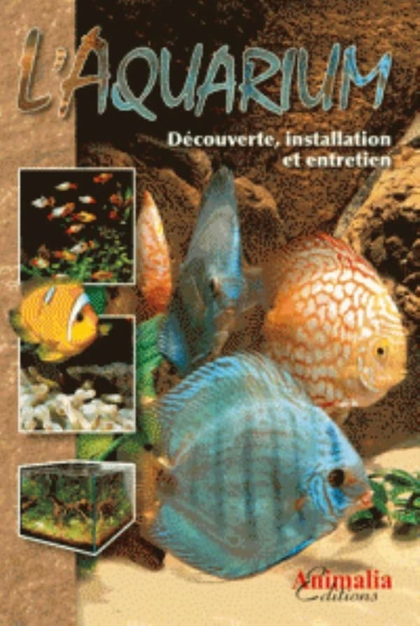 L'aquarium : découverte, installation et entretien
