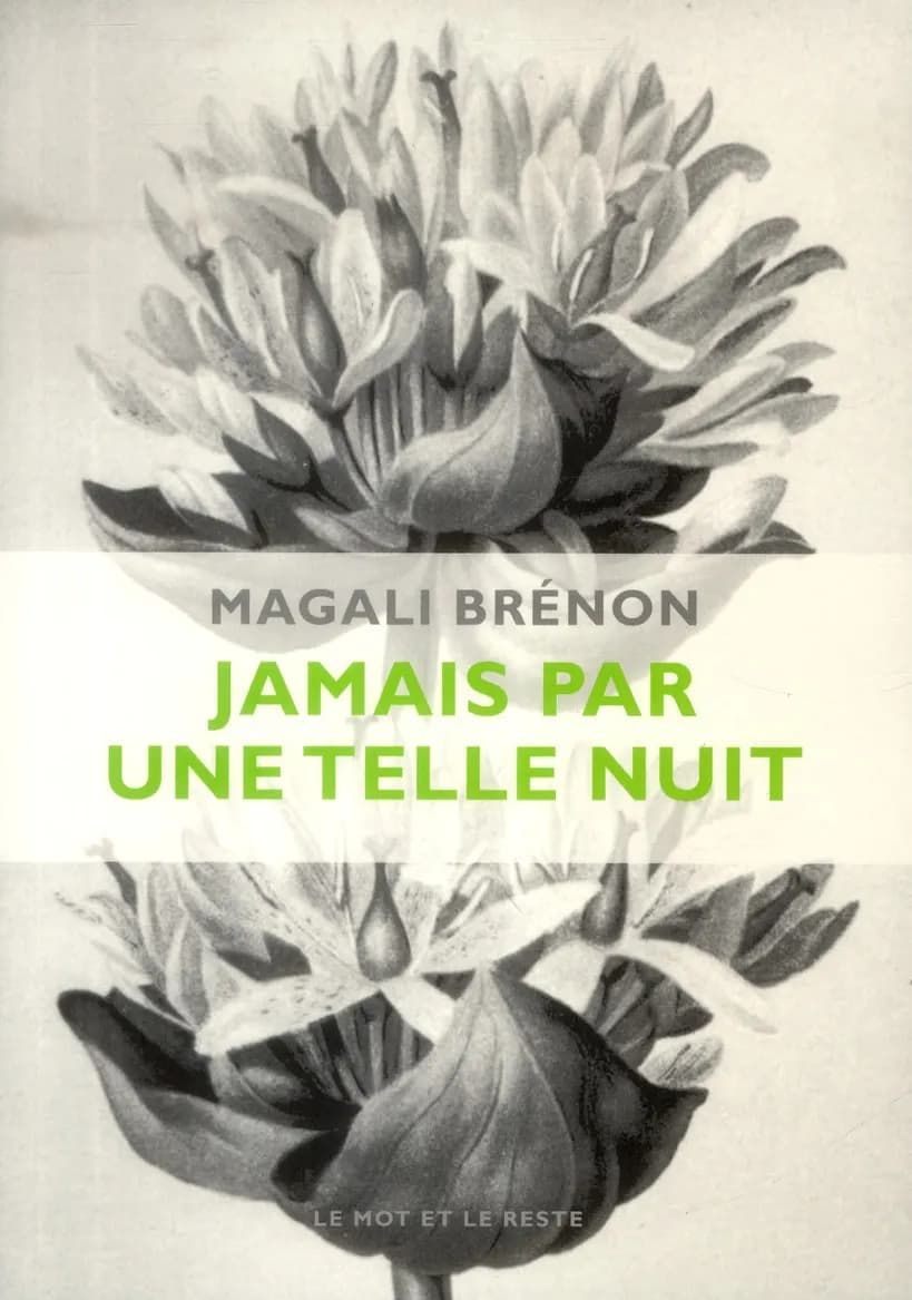 Jamais par une telle nuit