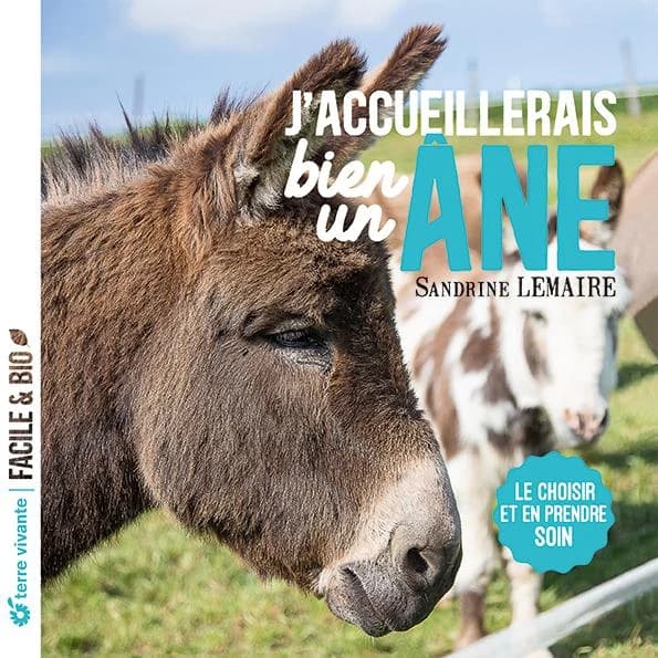 J'accueillerais bien un âne : le choisir et en prendre soin