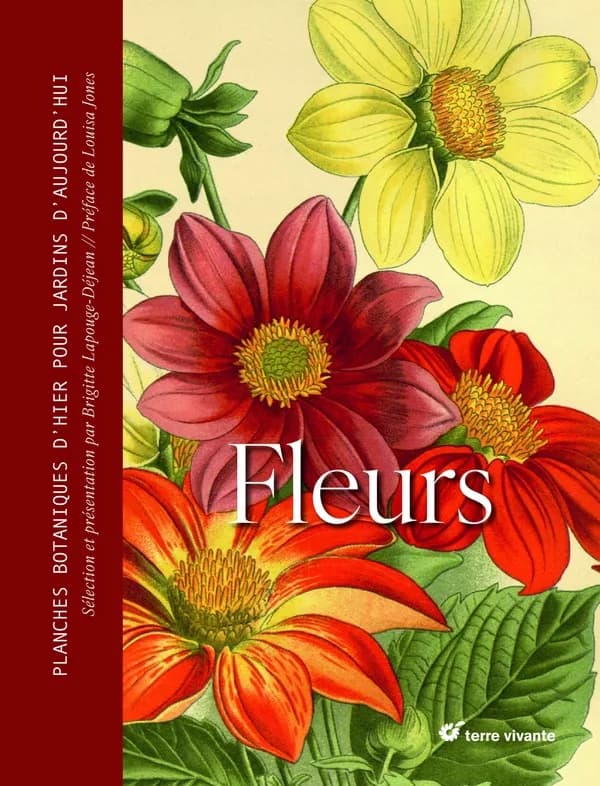 Fleurs : planches botaniques d'hier pour jardins d'aujourd'hui