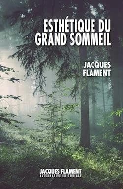 Esthétique du grand sommeil