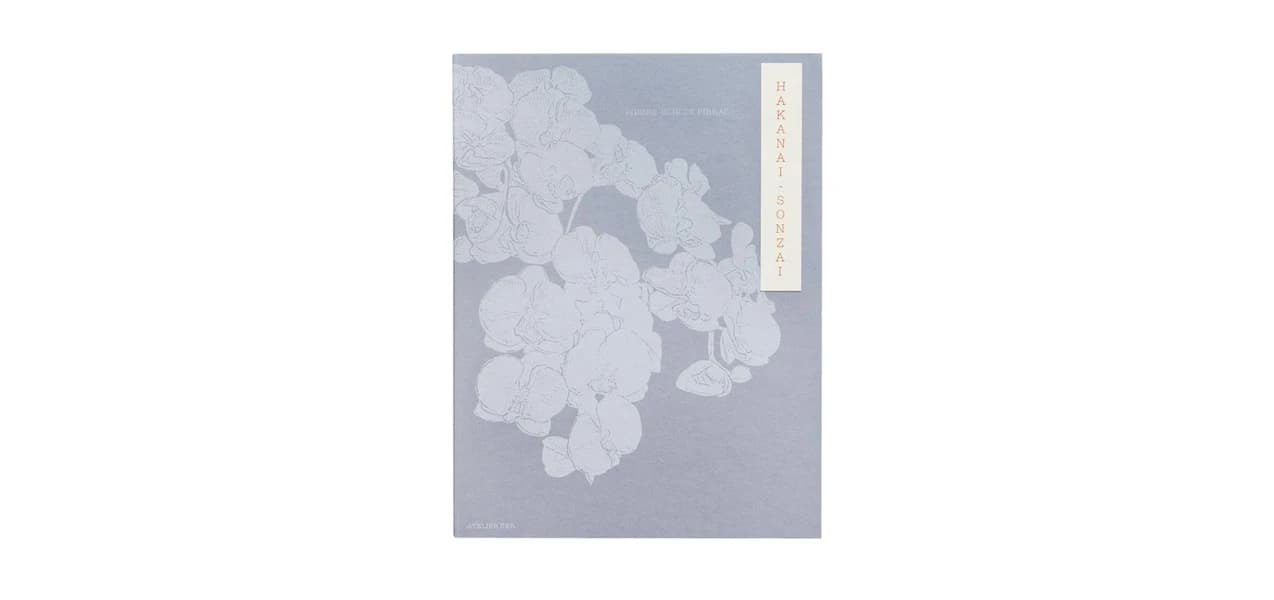 Hakanai Sonzai