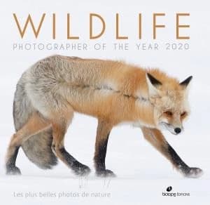 Wildlife photographer of the year ; les plus belles photos de nature (édition 2020)