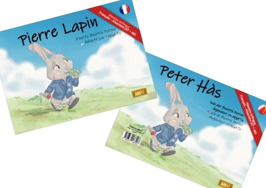 L'histoire de Pierre Lapin
