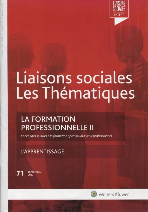 Liaisons sociales ; Les thématiques : la formation professionnelle II (2e édition)