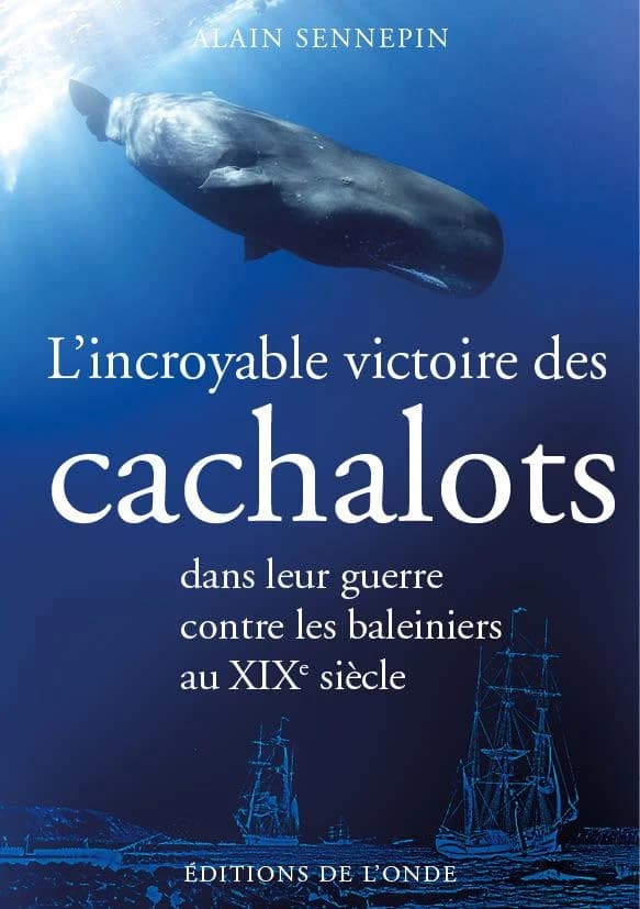 L'incroyable victoire des cachalots dans leur guerre contre les baleiniers au : XIXe siècle
