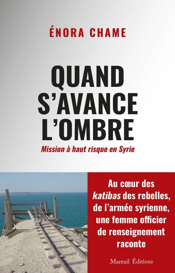 Quand s'avance l'ombre : mission à haut risque en Syrie