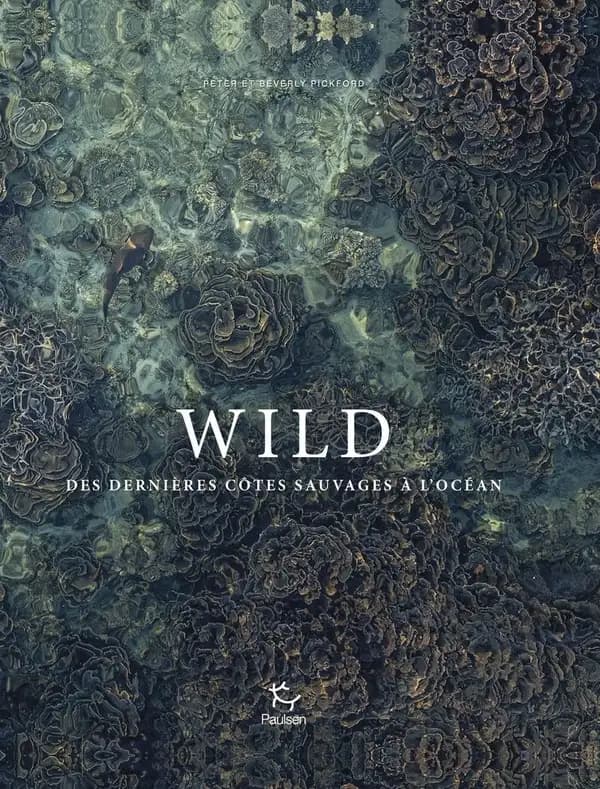 Wild : des dernières côtes sauvages à l'océan