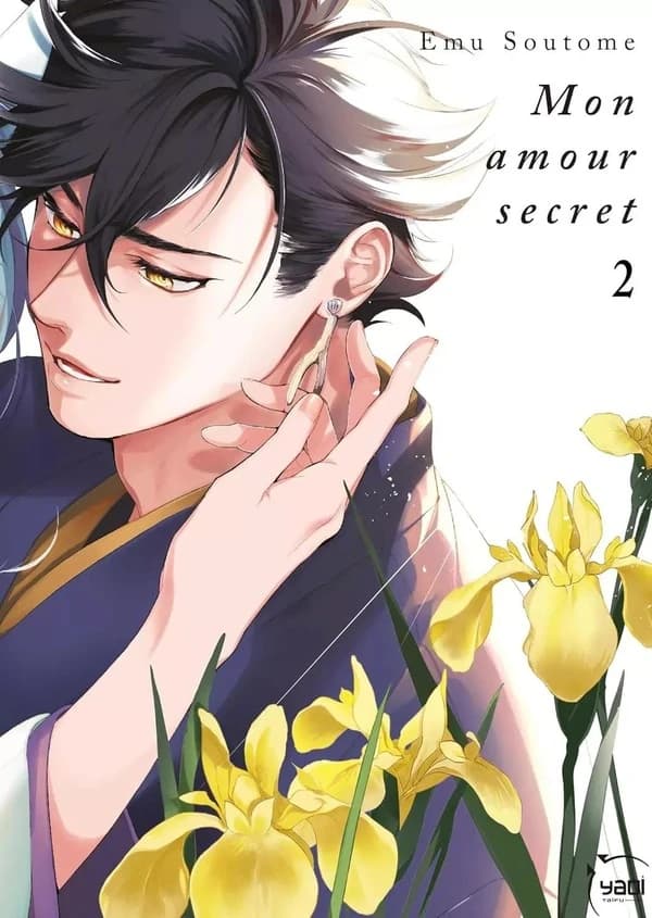 Mon amour secret Tome 2