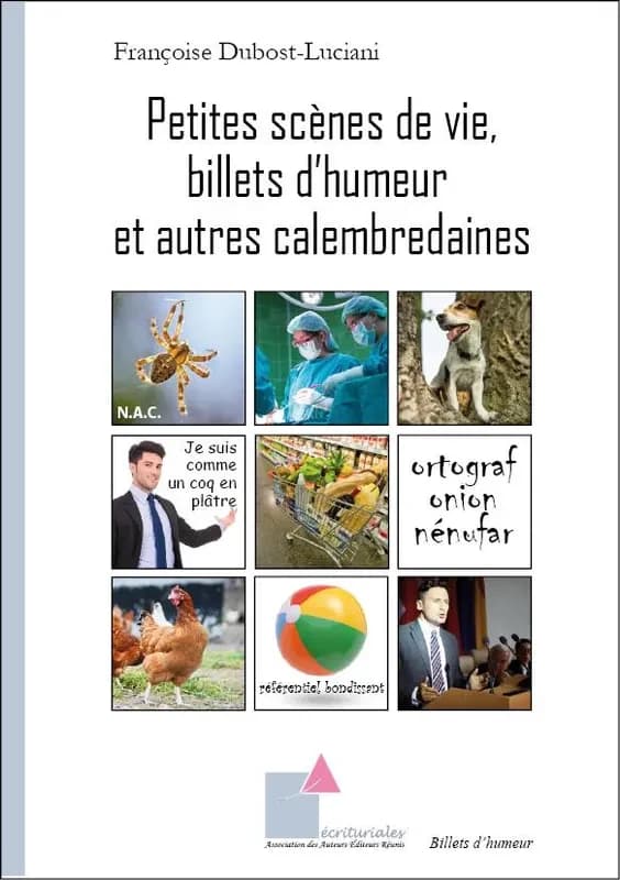 Petites scènes de vie, billets d'humeur et autres calembredaines : roman