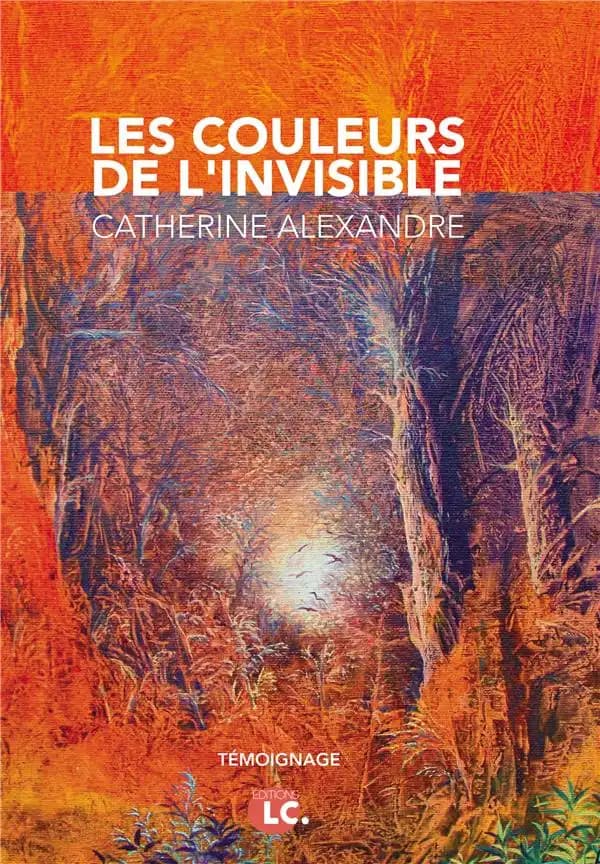 Les couleurs de l'invisible : NDE, synchronicités, magnétisme, rêves prémonitoires : carnet d'une artiste peintre face à l'extraordinaire : témoignage