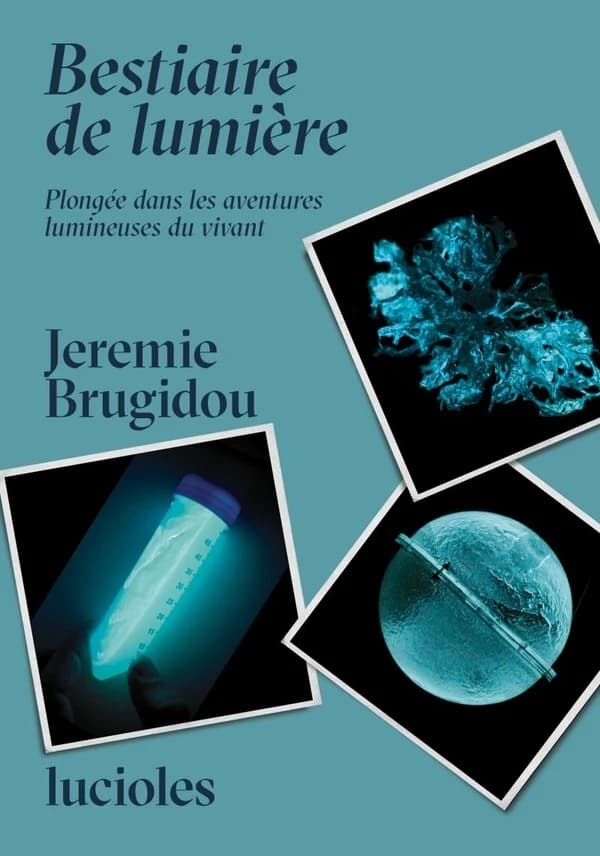 Bestiaire de lumière : Plongée dans les aventures lumineuses