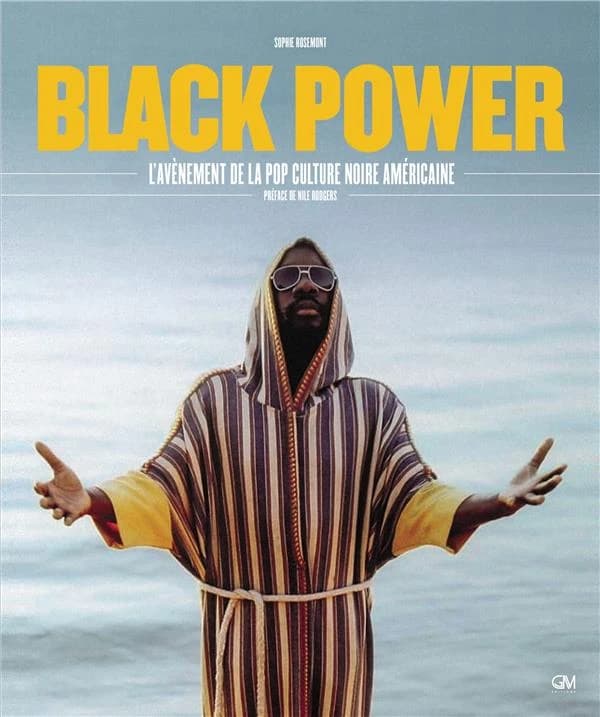 Black power : l'avènement de la pop culture noire américaine