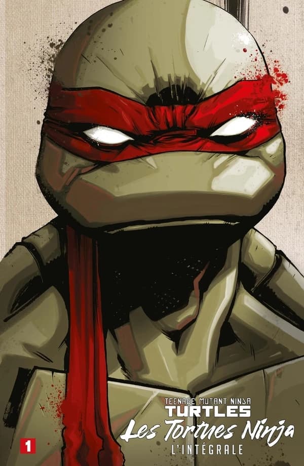 Les Tortues Ninja : TMNT