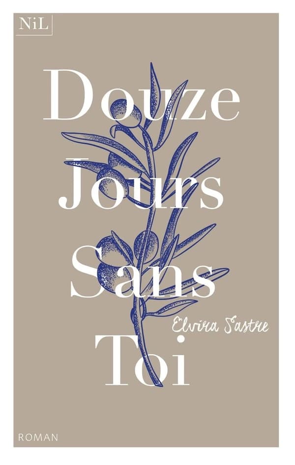 Douze jours sans toi : roman