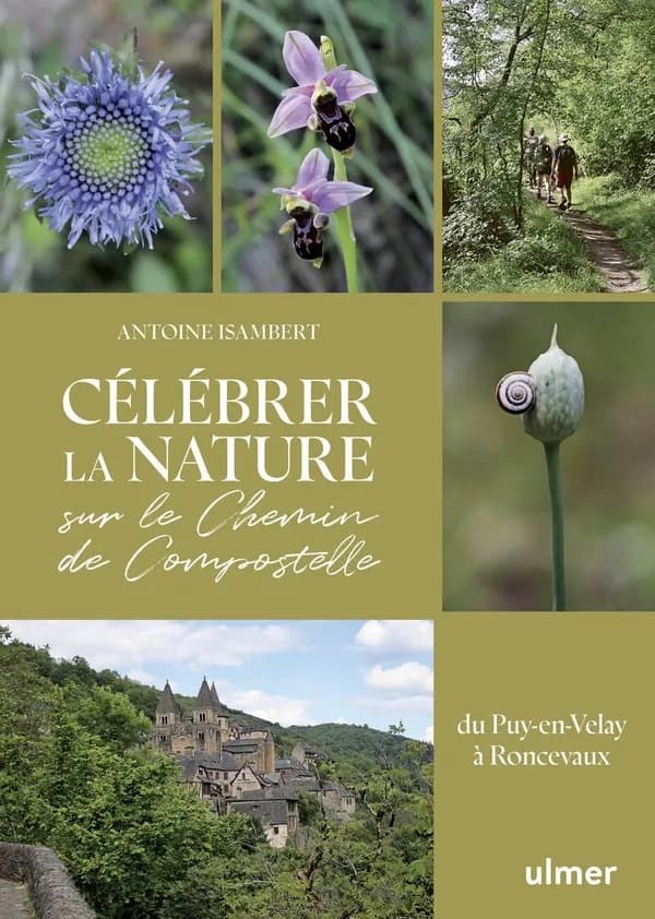 Célébrer la nature sur le Chemin de Compostelle : du Puy-en-Velay à Roncevaux