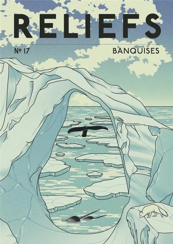 Reliefs n.17 : Banquises