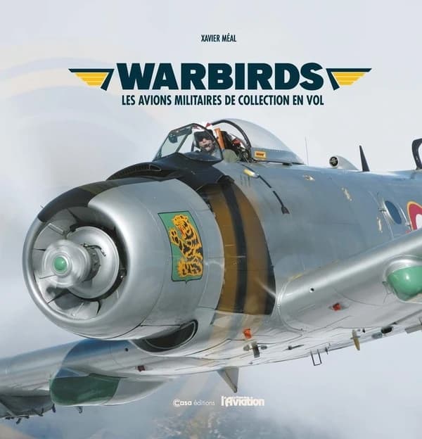 Warbirds : les avions militaires de collection en vol
