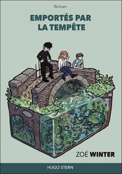 Emportés par la tempête : roman