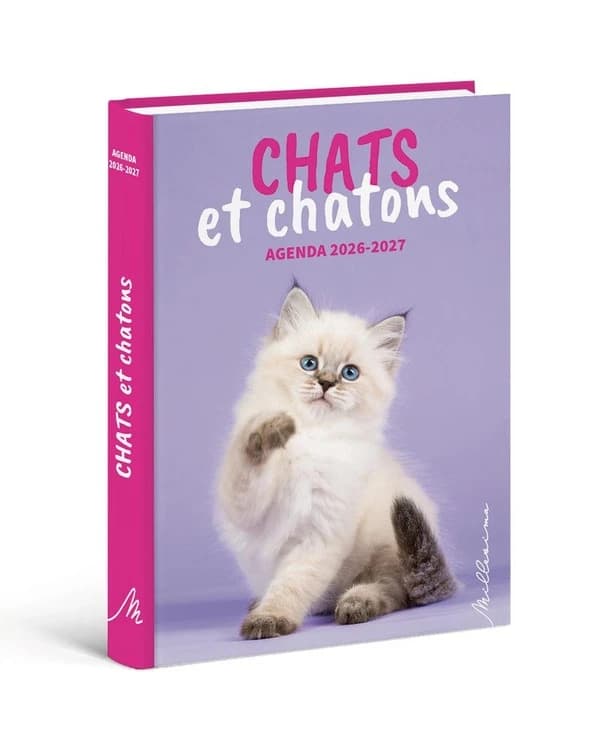 Agenda : Chats et chatons (édition 2026