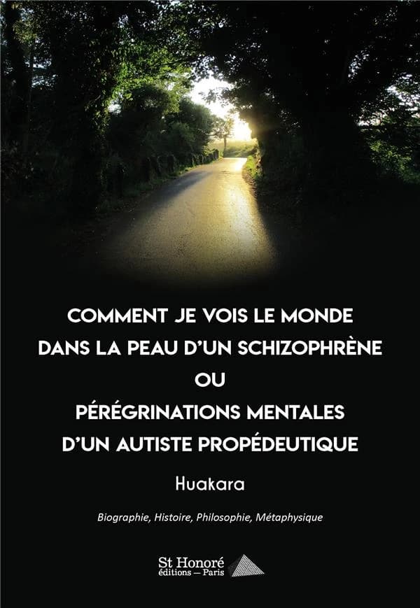 Comment je vois le monde dans la peau d'un schizophrène : ou pérégrinations mentales d'un autiste propédeutique