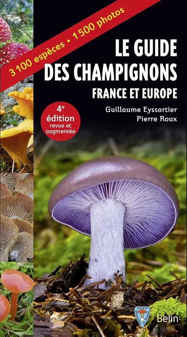 Le guide des champignons : France et Europe