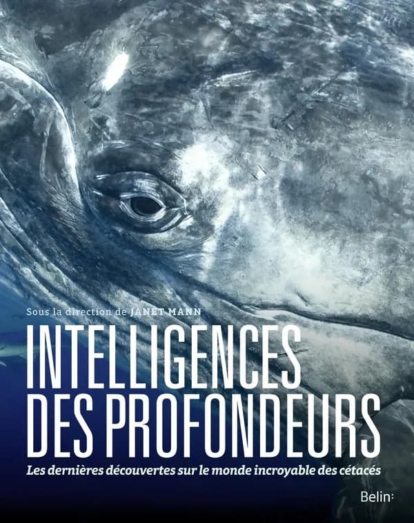 Intelligences des profondeurs : dans la tête des baleines, dauphins et marsouins