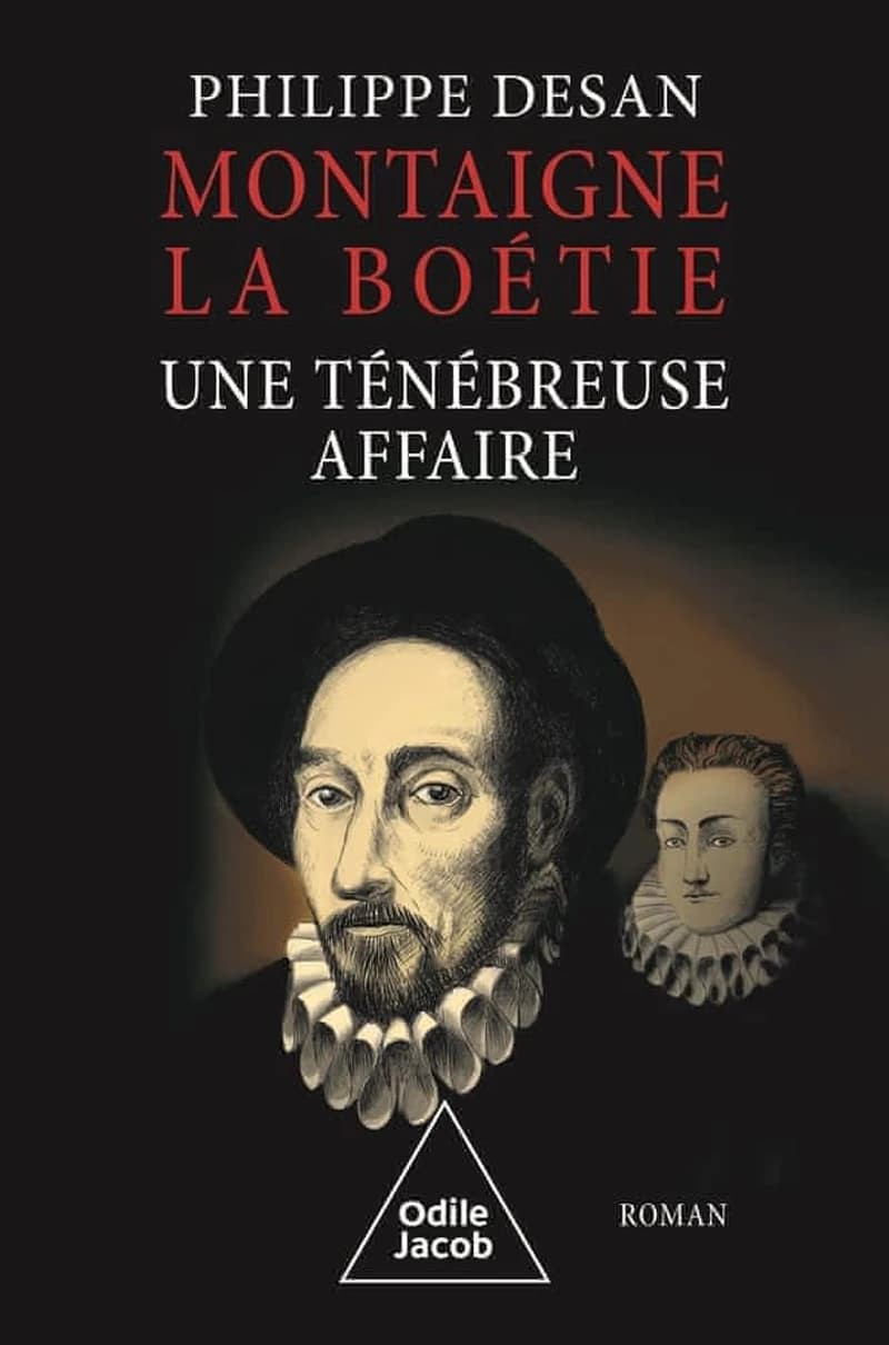 Montaigne-La Boétie : une ténébreuse affaire : roman