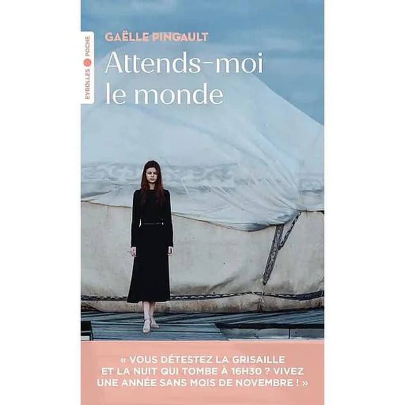 Attends-moi le monde : roman