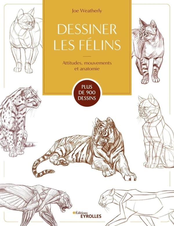 Dessiner les félins : attitudes, mouvements et anatomie