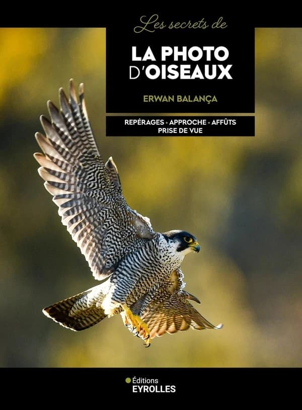Les secrets de la photo d'oiseaux : Repérages, Approche, Affûts, Prise de vue