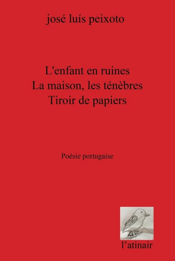 L'enfant en ruines ; La maison, les ténèbres ; Tiroir de papiers