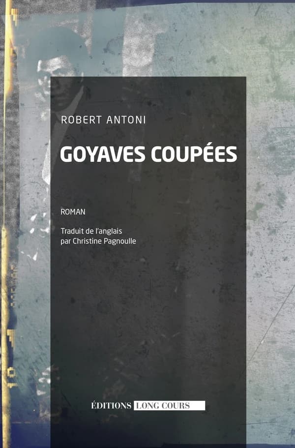 Goyaves coupées : ou postscriptum à la civilisation des simiens : un roman qui se prend pour un scénario