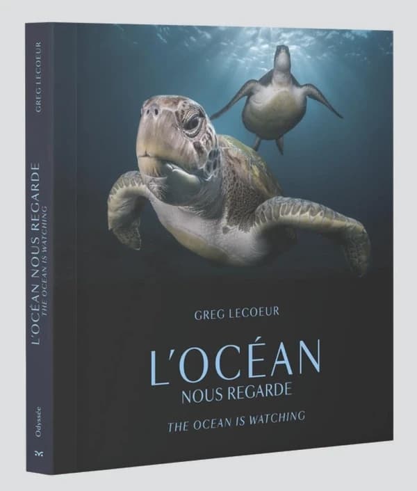 L'océan nous regarde
