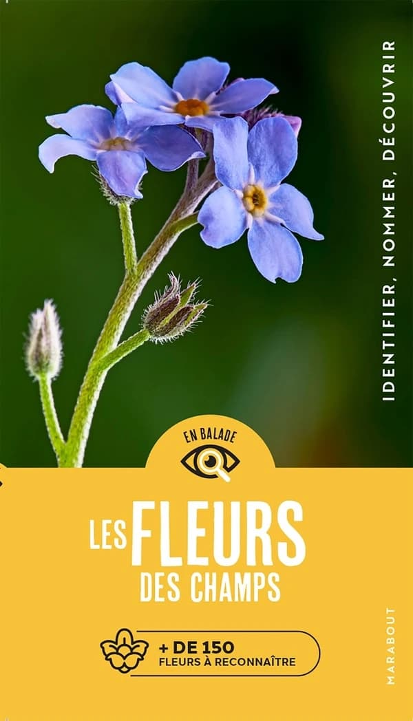 Les fleurs des champs : + de 150 fleurs à reconnaître