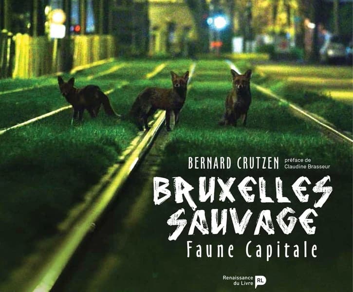 Bruxelles sauvage : faune capitale