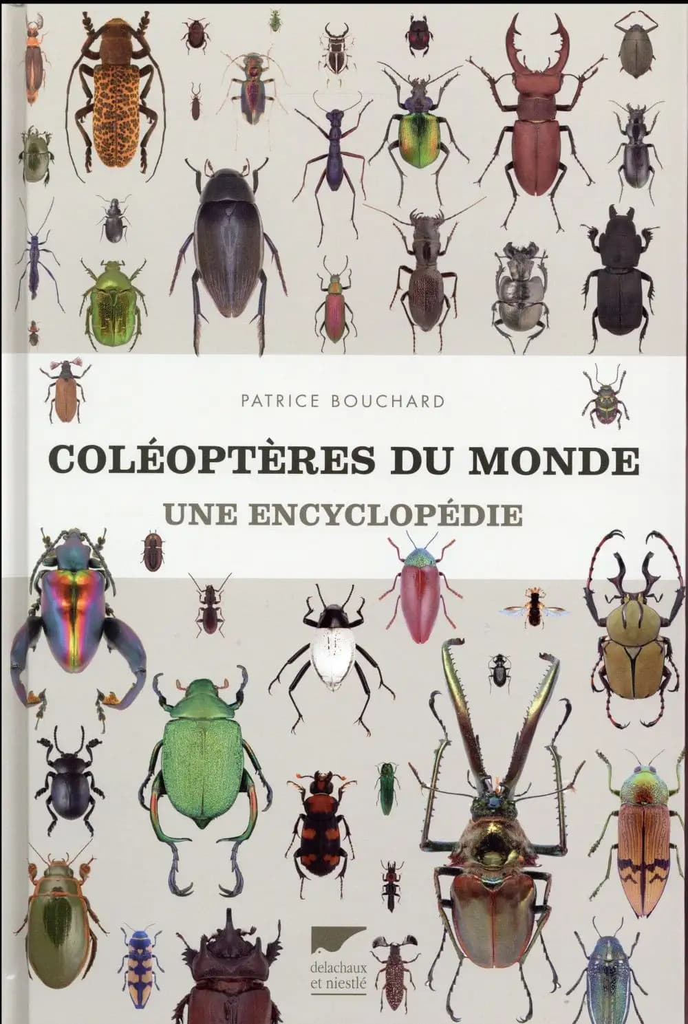 Coléoptères du monde