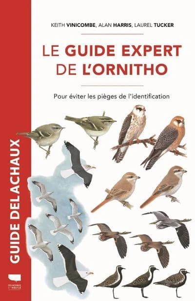 Guide Delachaux : le guide expert de l'ornitho ; pour éviter les pièges de l'identification