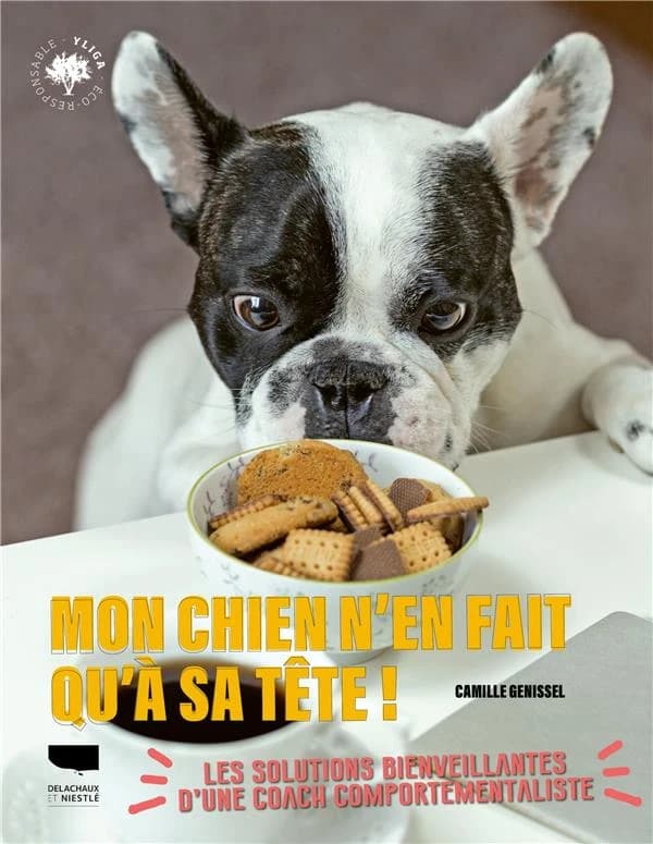 Mon chien n'en fait qu'à sa tête : les solutions bienveillantes d'une coach comportementaliste