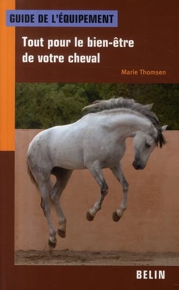Guide de l'équipement : tout pour le bien-être de votre cheval