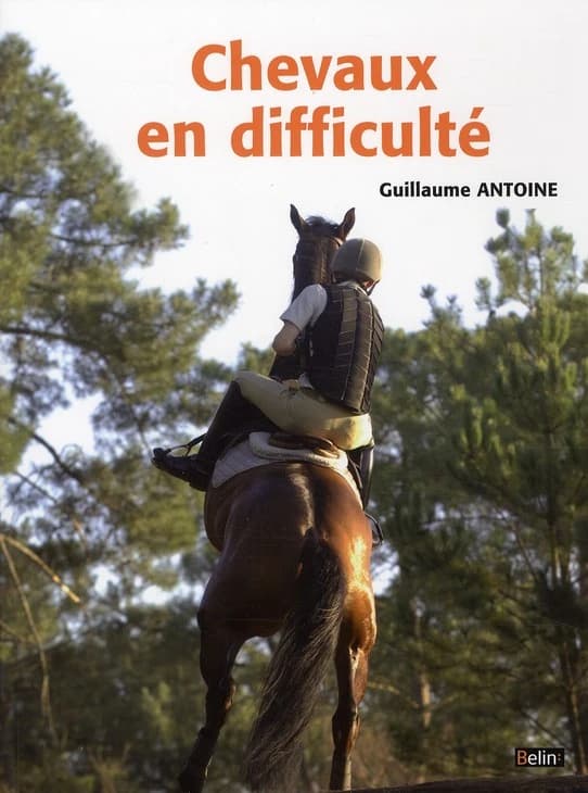 Chevaux en difficulté : diagnostics et préconisations