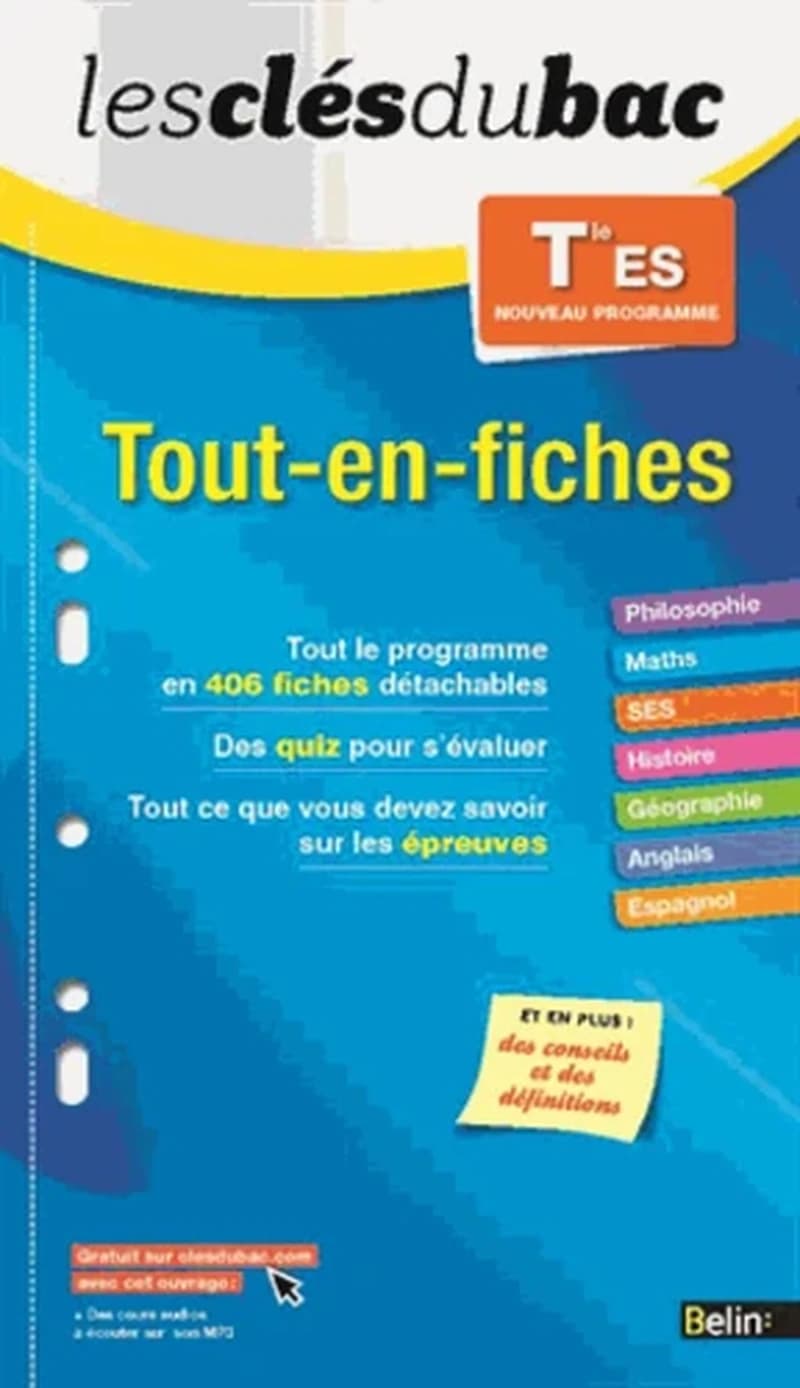 LES CLES DU BAC TOUT EN FICHES TLE ES