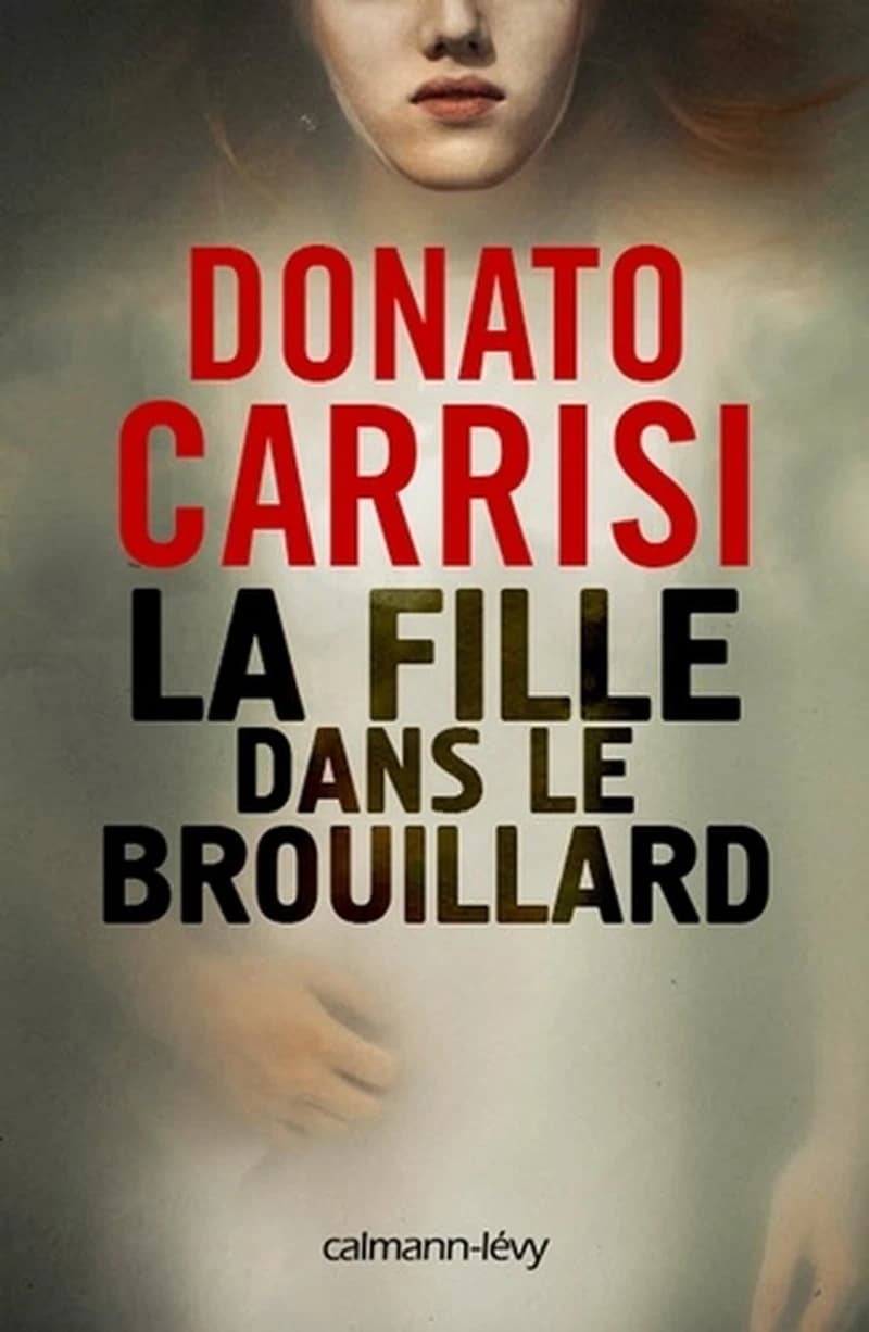 La fille dans le brouillard : roman