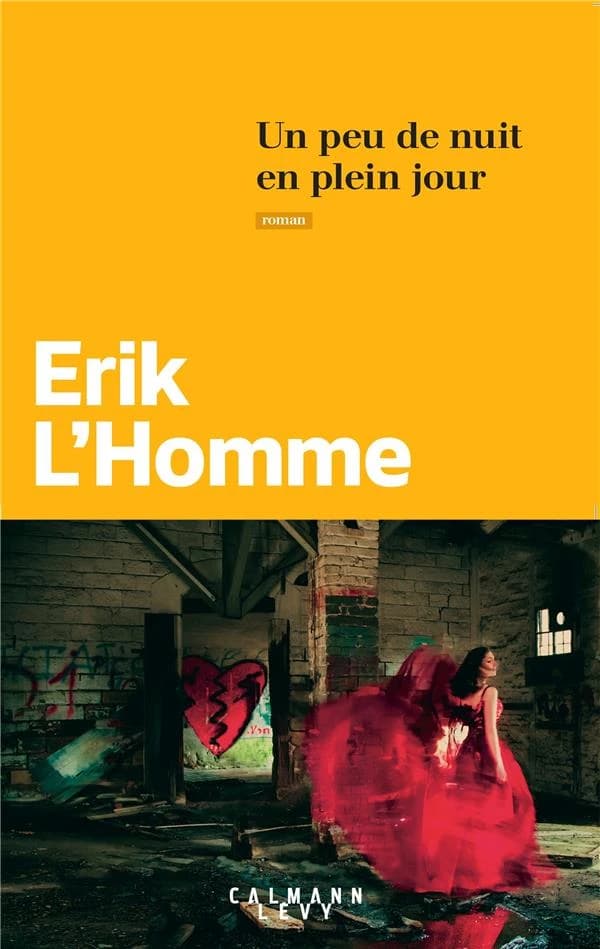 Un peu de nuit en plein jour : roman