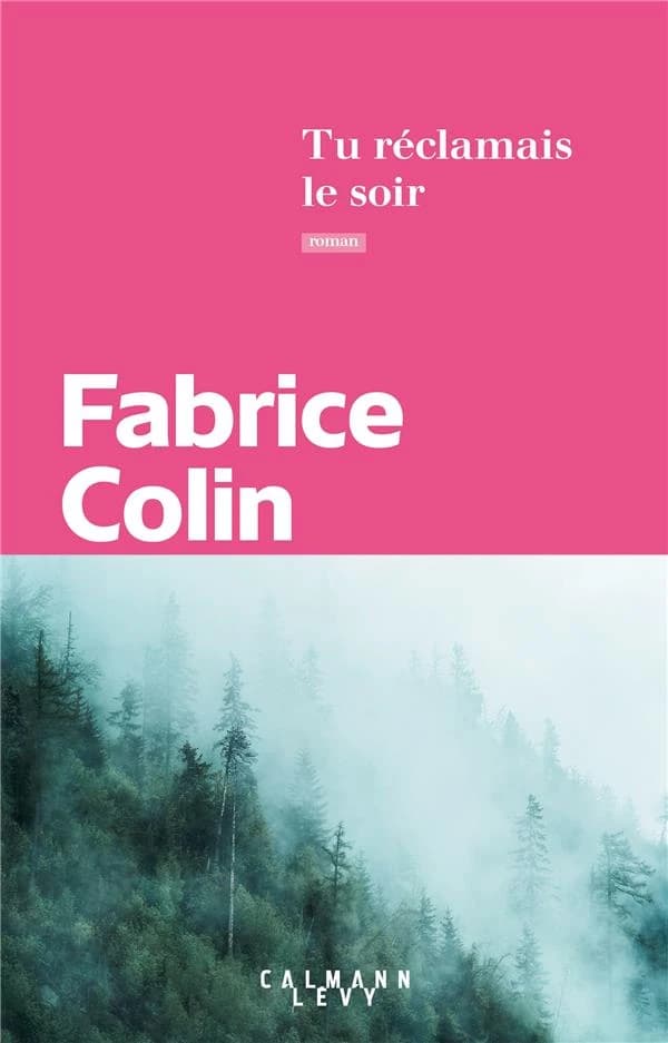 Tu réclamais le soir : roman